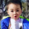 橙子橙子橙子