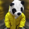 lesley人事李