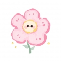 刘**8