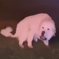 error