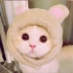 艾尔法