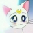 猫猫2019