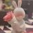 小兔同学54825